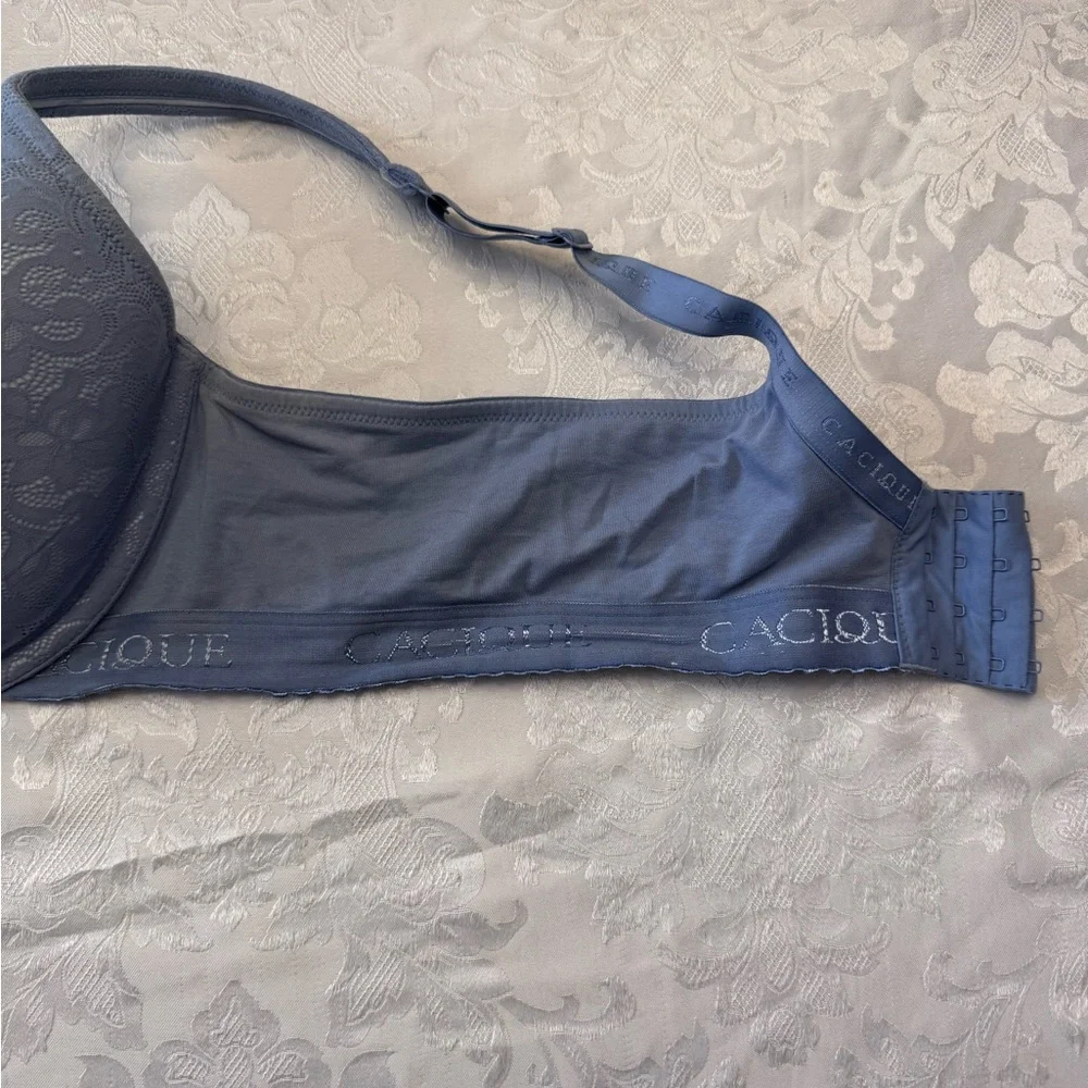 Cacique Lightly Lined T Shirt Bra Plus Size 46D Blue Lace‎ Logo Sexy Underwire